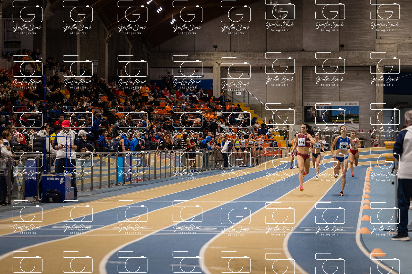 787A7109-2.jpg