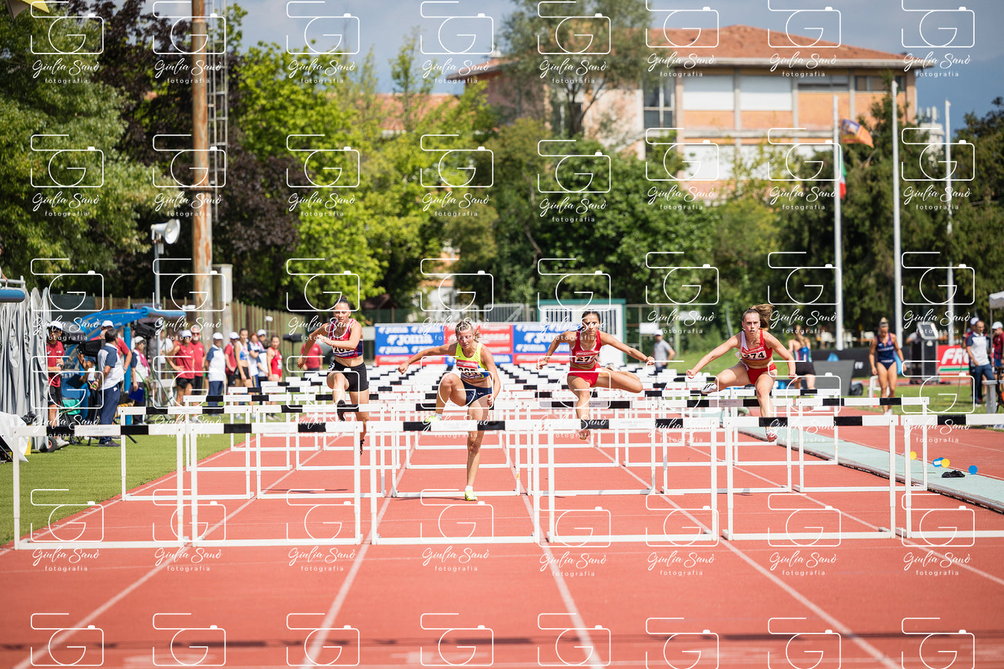 787A0970.jpg