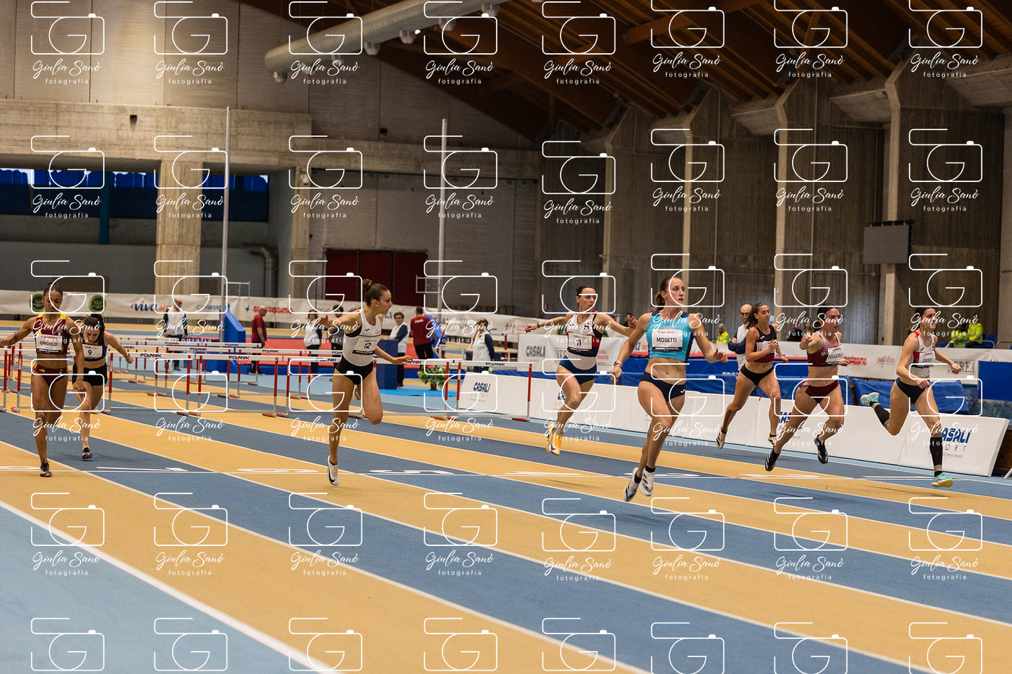 787A6691.jpg