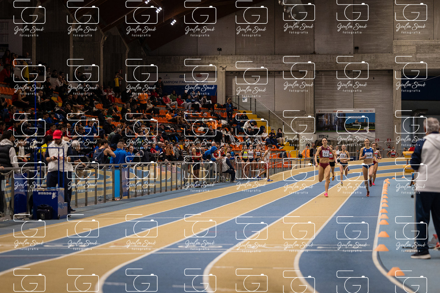787A7108-2.jpg