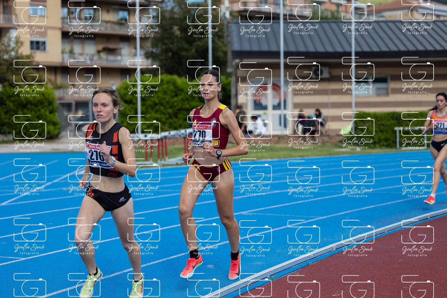 787A2769.jpg