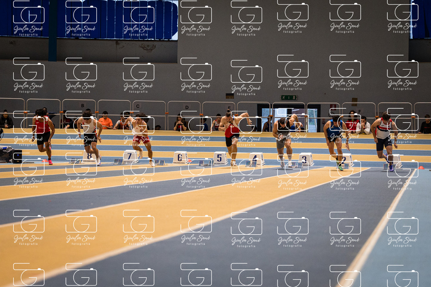 787A6884.jpg