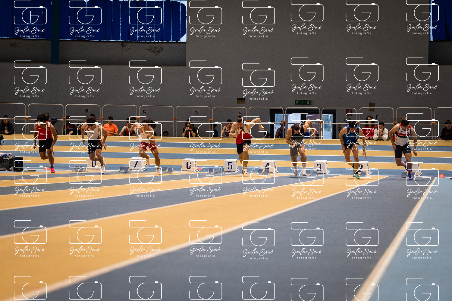 787A6884.jpg