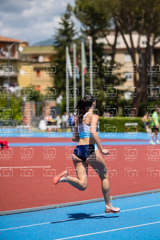 787A2303.jpg