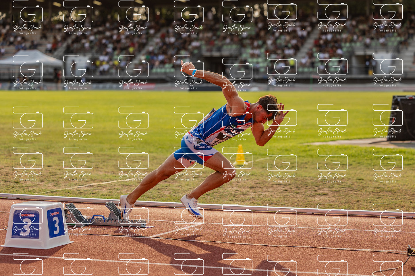 787A4310.jpg
