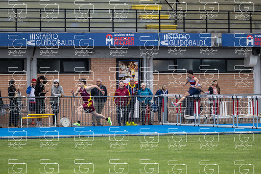 787A1294.jpg