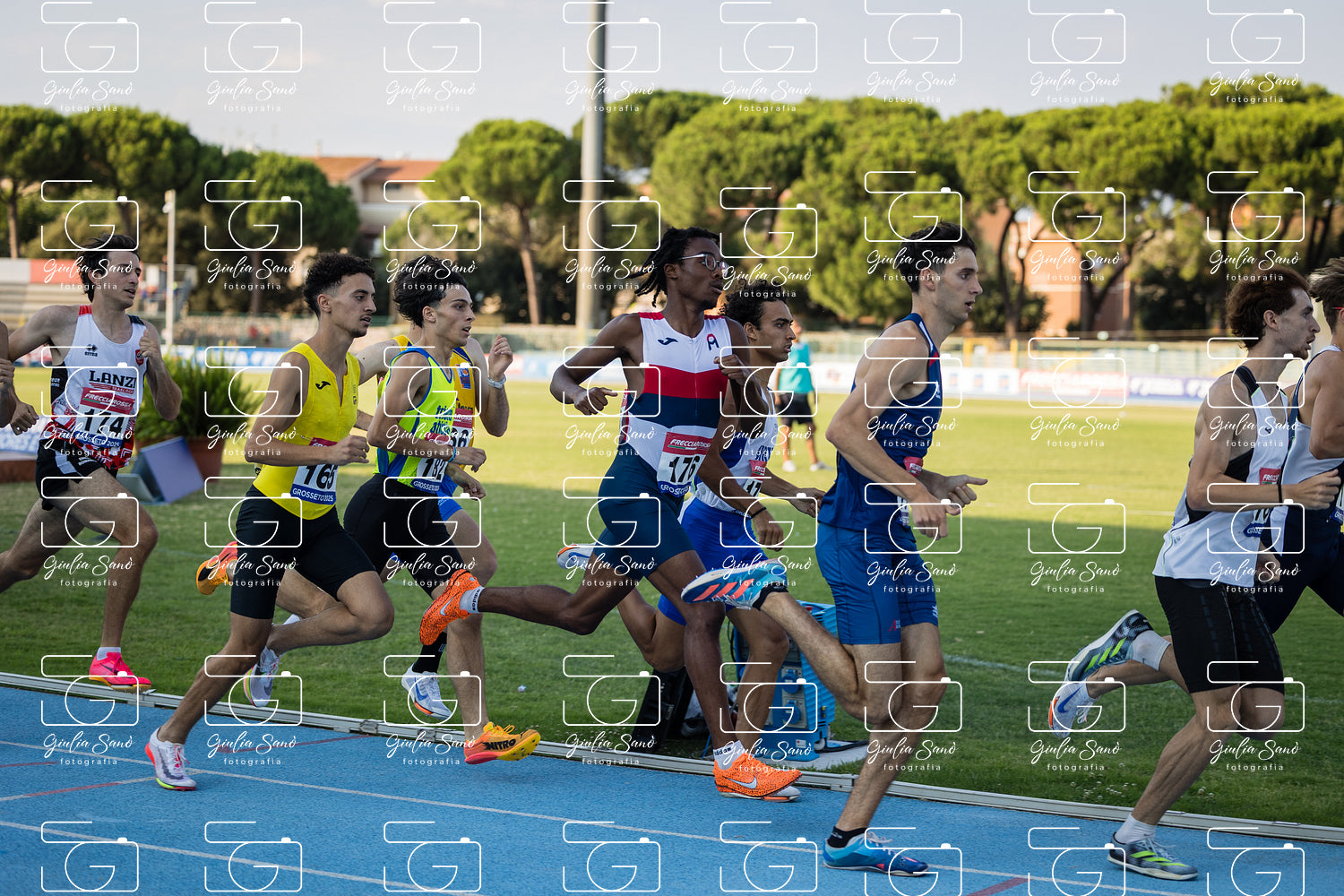 787A6237.jpg