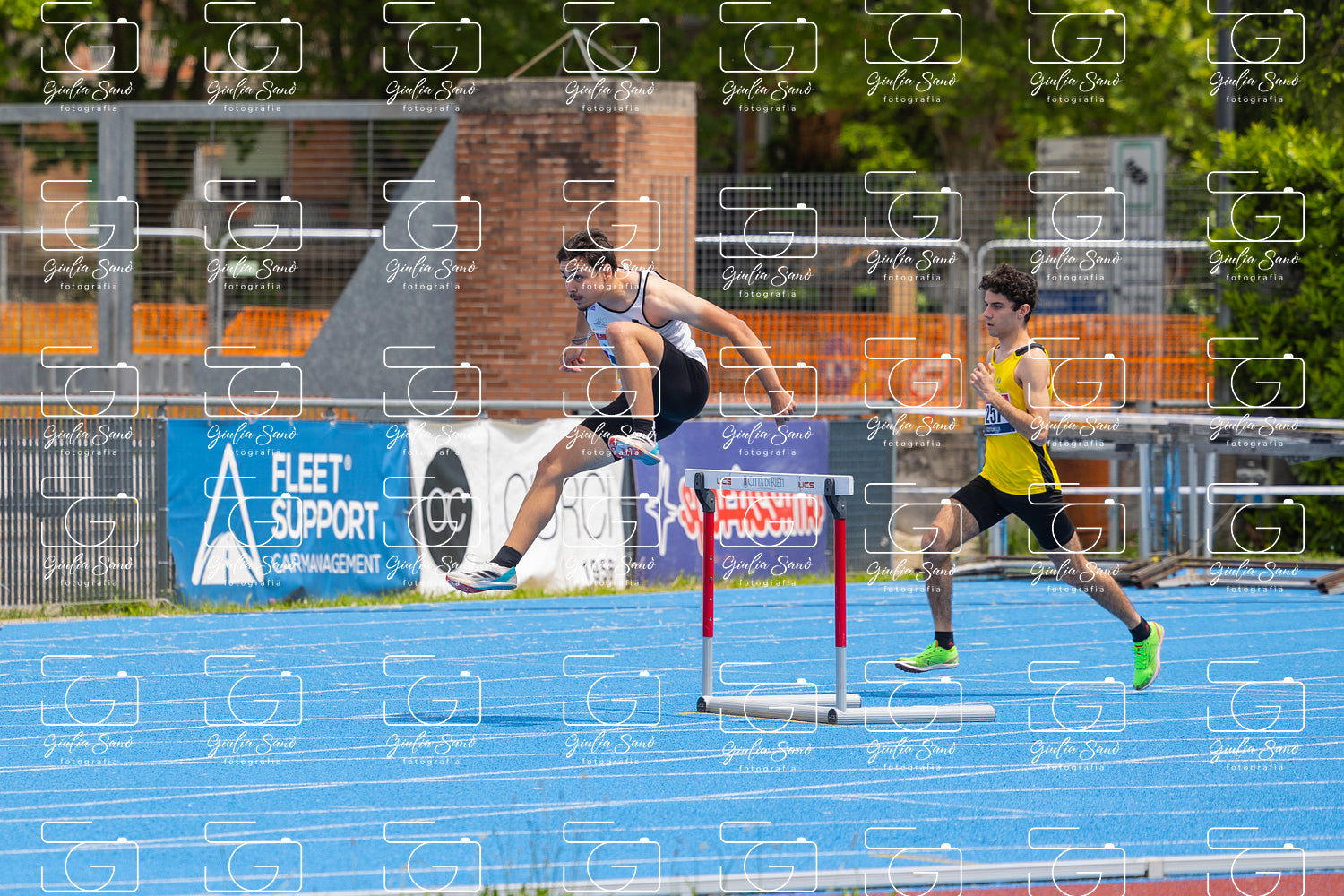 787A3752.jpg