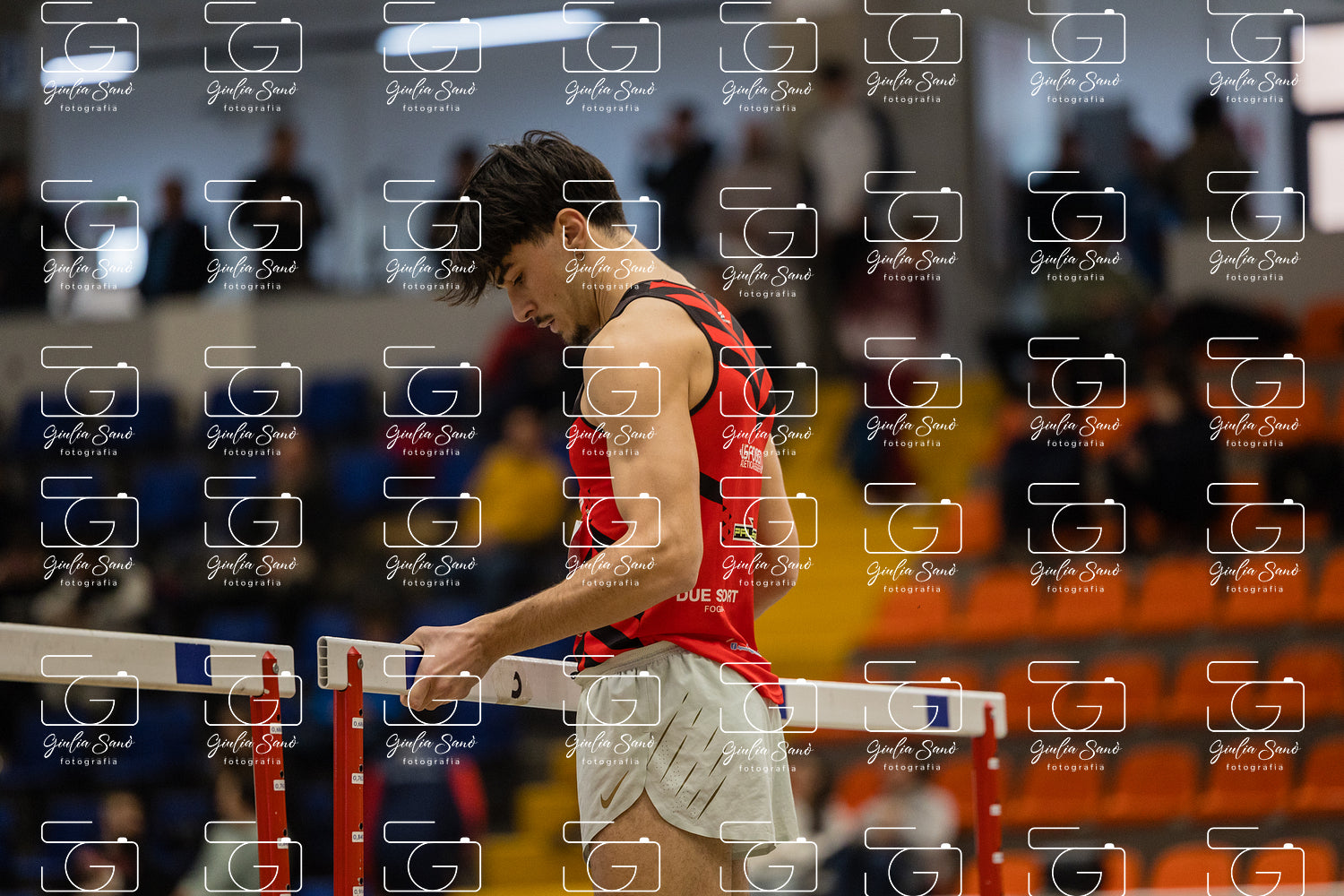 787A6522.jpg