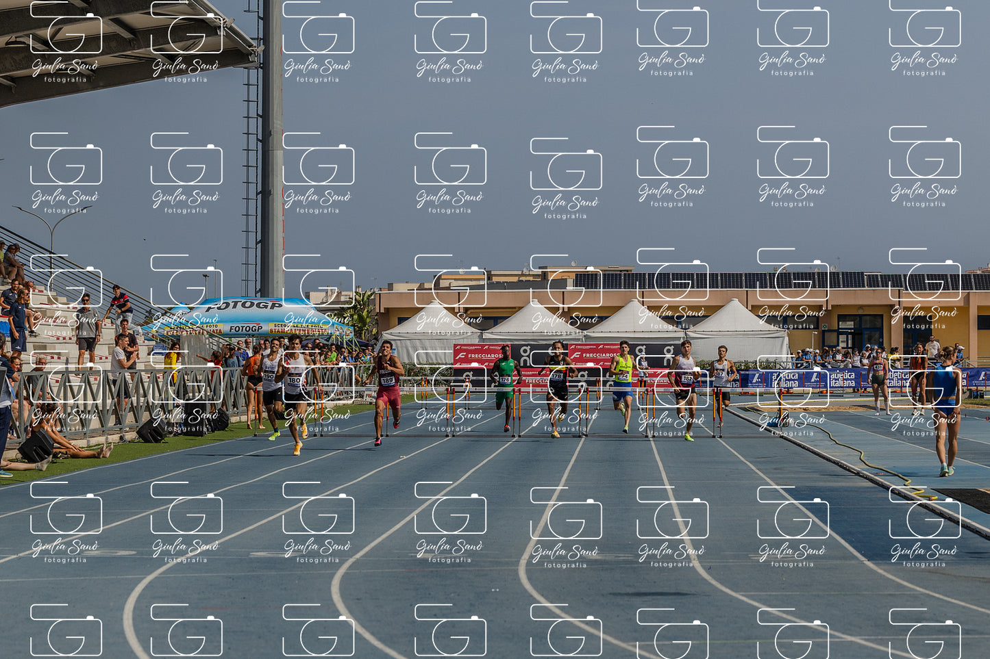 787A2650-2.jpg