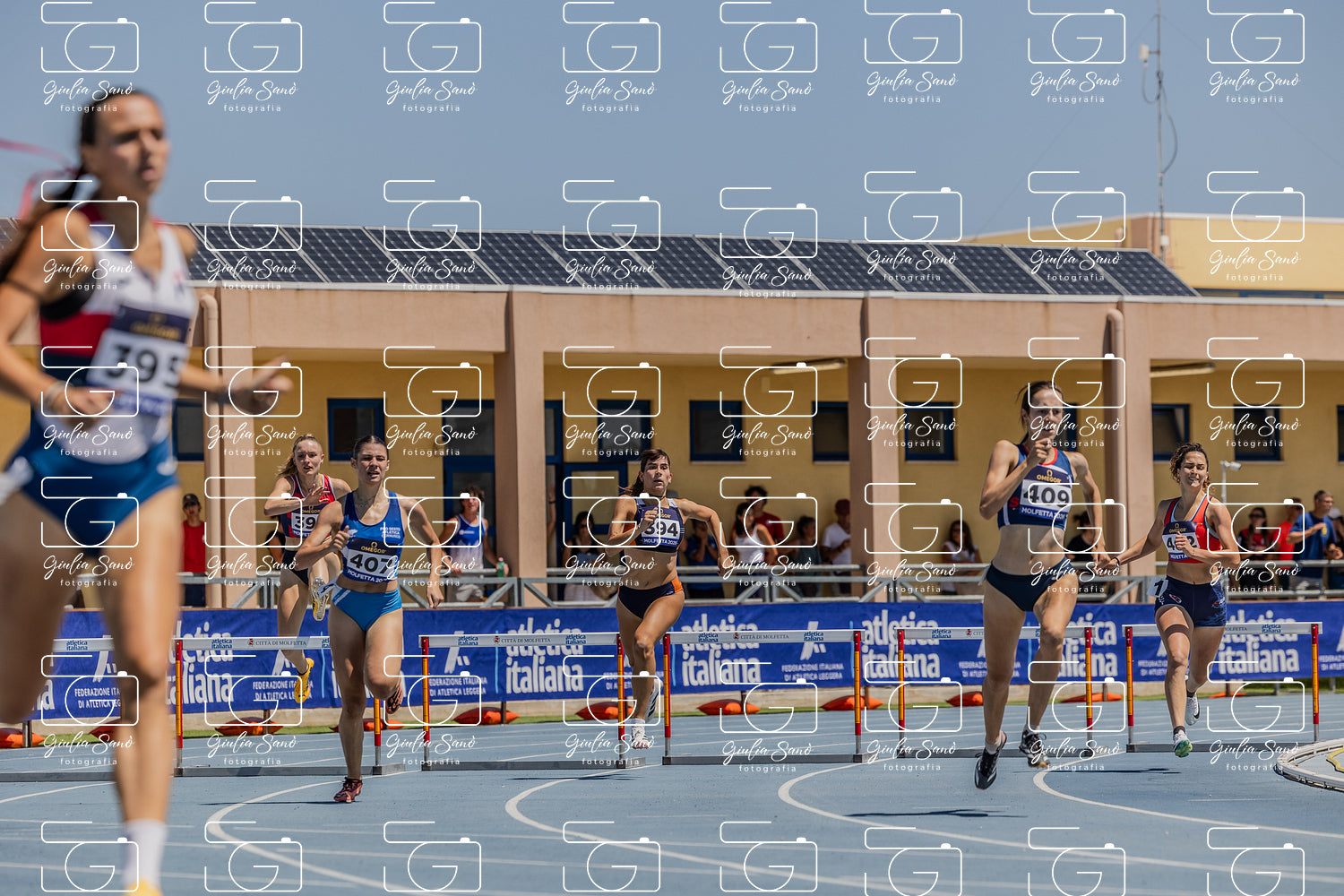 787A1693.jpg