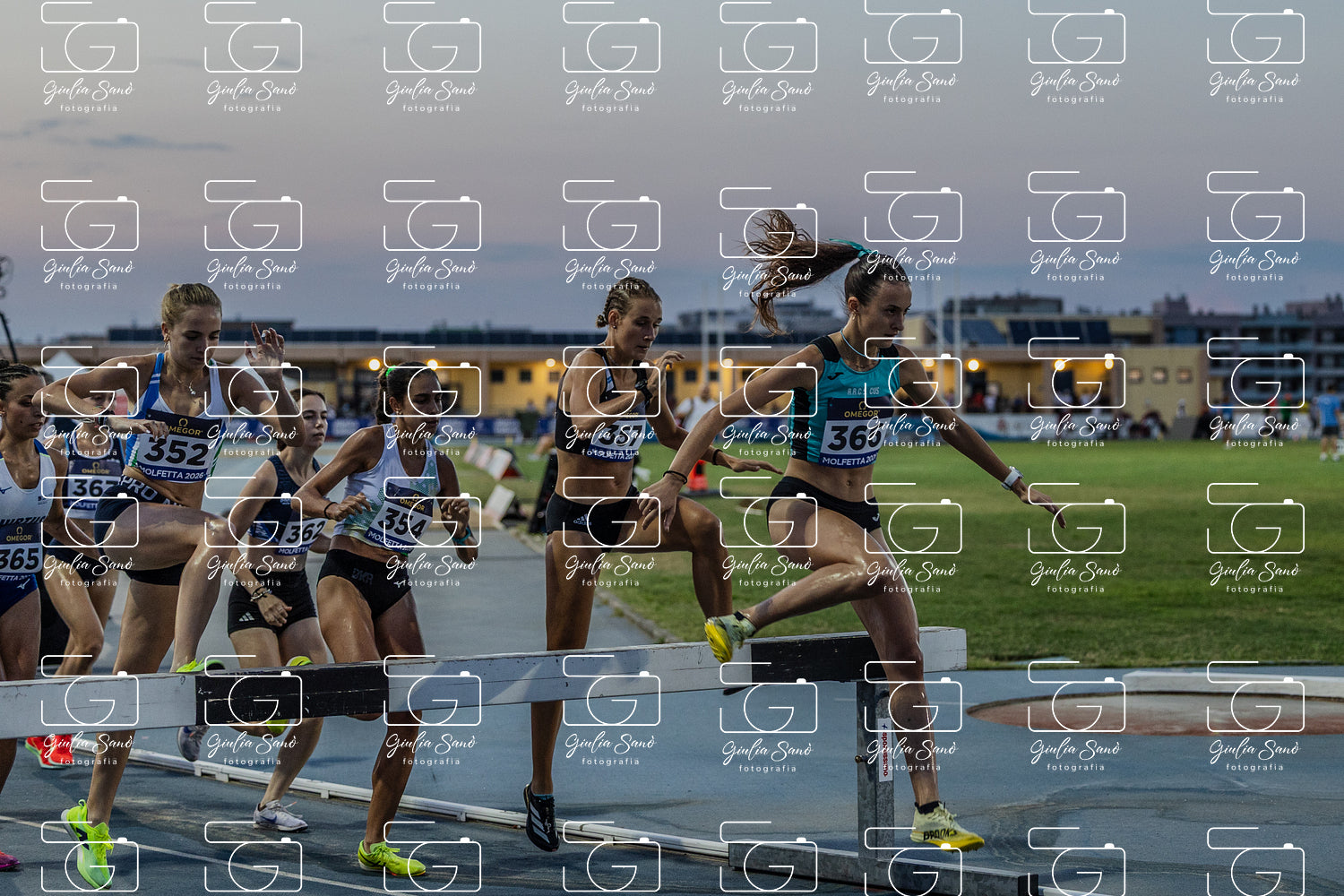 787A2497.jpg